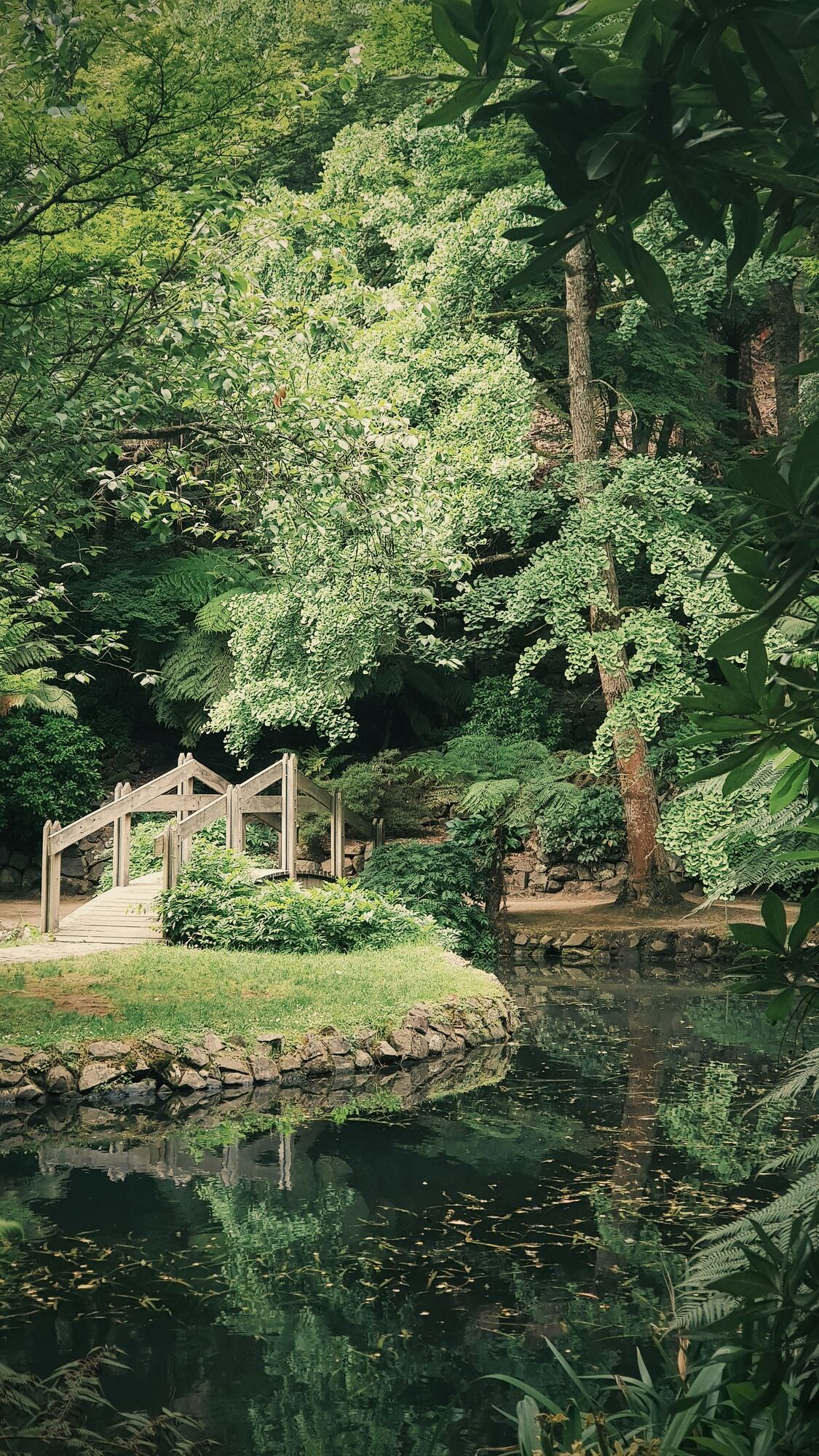 A timber footbridge over a stream in a fern-filled woodland garden